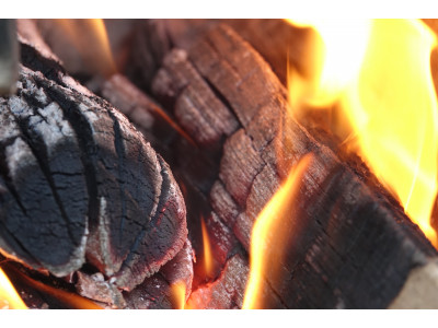 Выбирайте дрова для шашлыка правильно